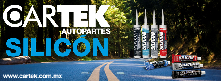 SILICONES CARTEK